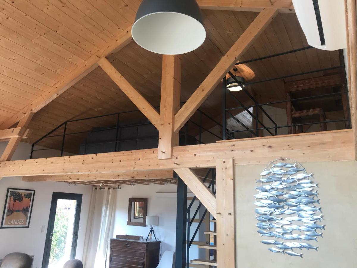 Villa Catalan ヴィエル・サン・ジロン エクステリア 写真